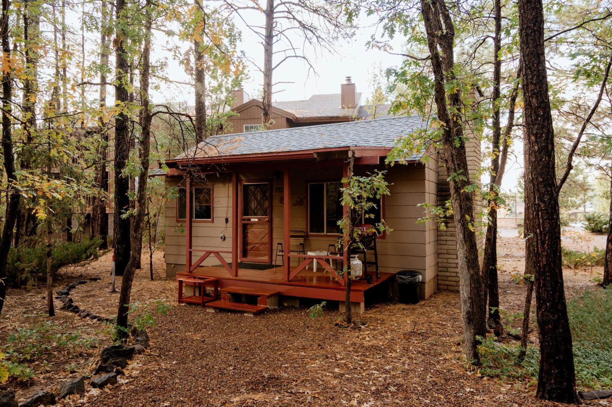 Northwoods